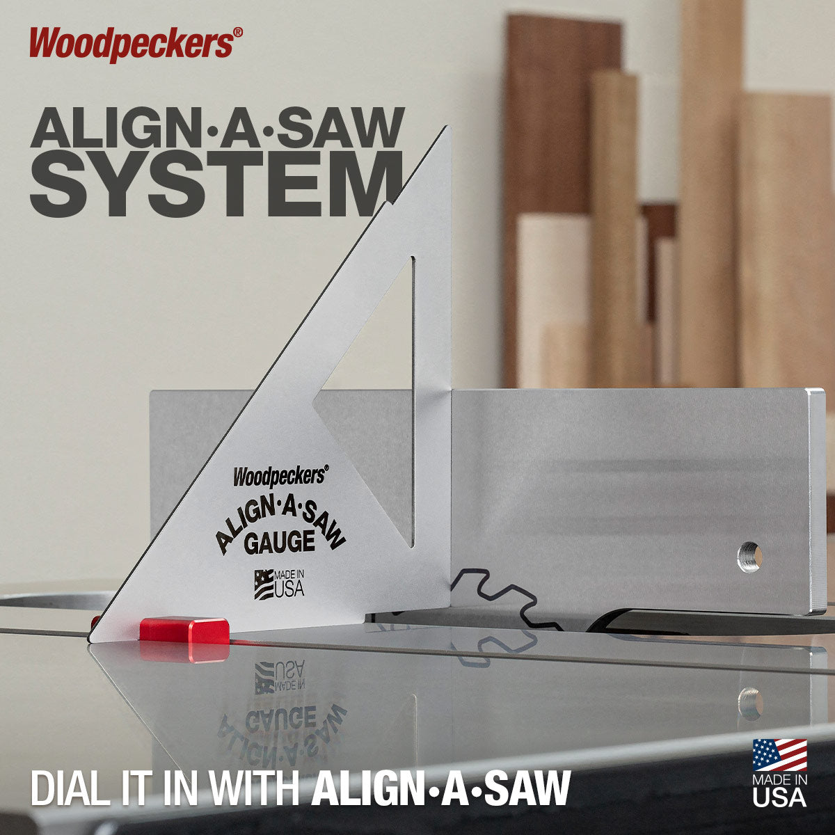 Align-A-Saw System