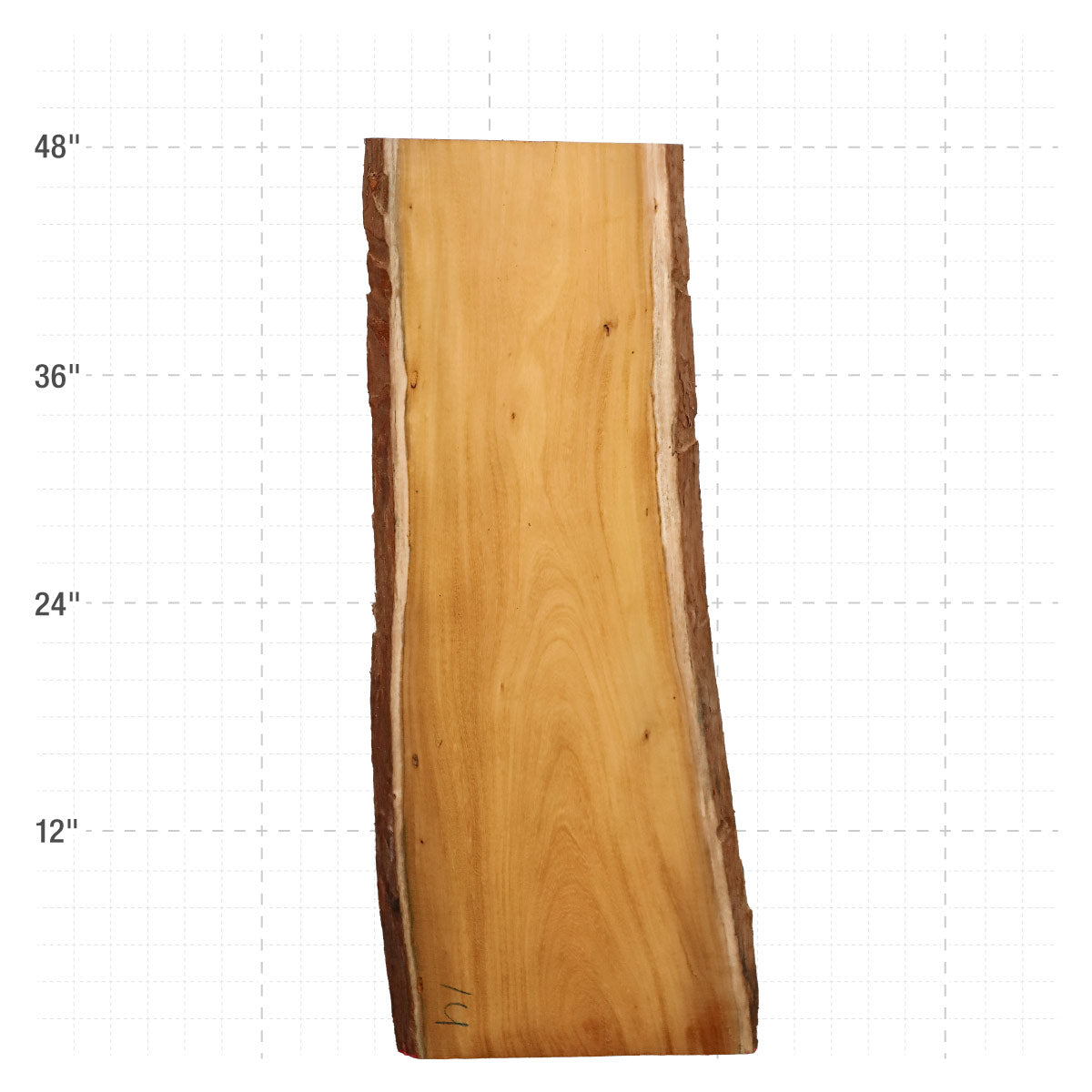 Osage Orange Live Edge Slabs - 48" x 16.25" x 1.25" - OO-14-A