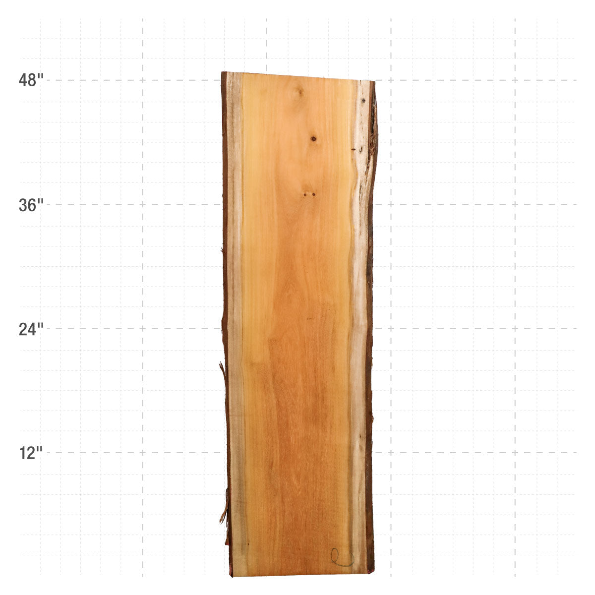 Osage Orange Live Edge Slabs - 48" x 14" x 1.25" - OO-2-A