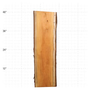 Osage Orange Live Edge Slabs - 48" x 14" x 1.25" - OO-2-A