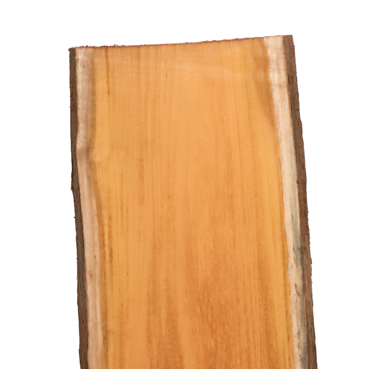 Osage Orange Live Edge Slabs - 48" x 16.5" x 1.25" - OO-28-A