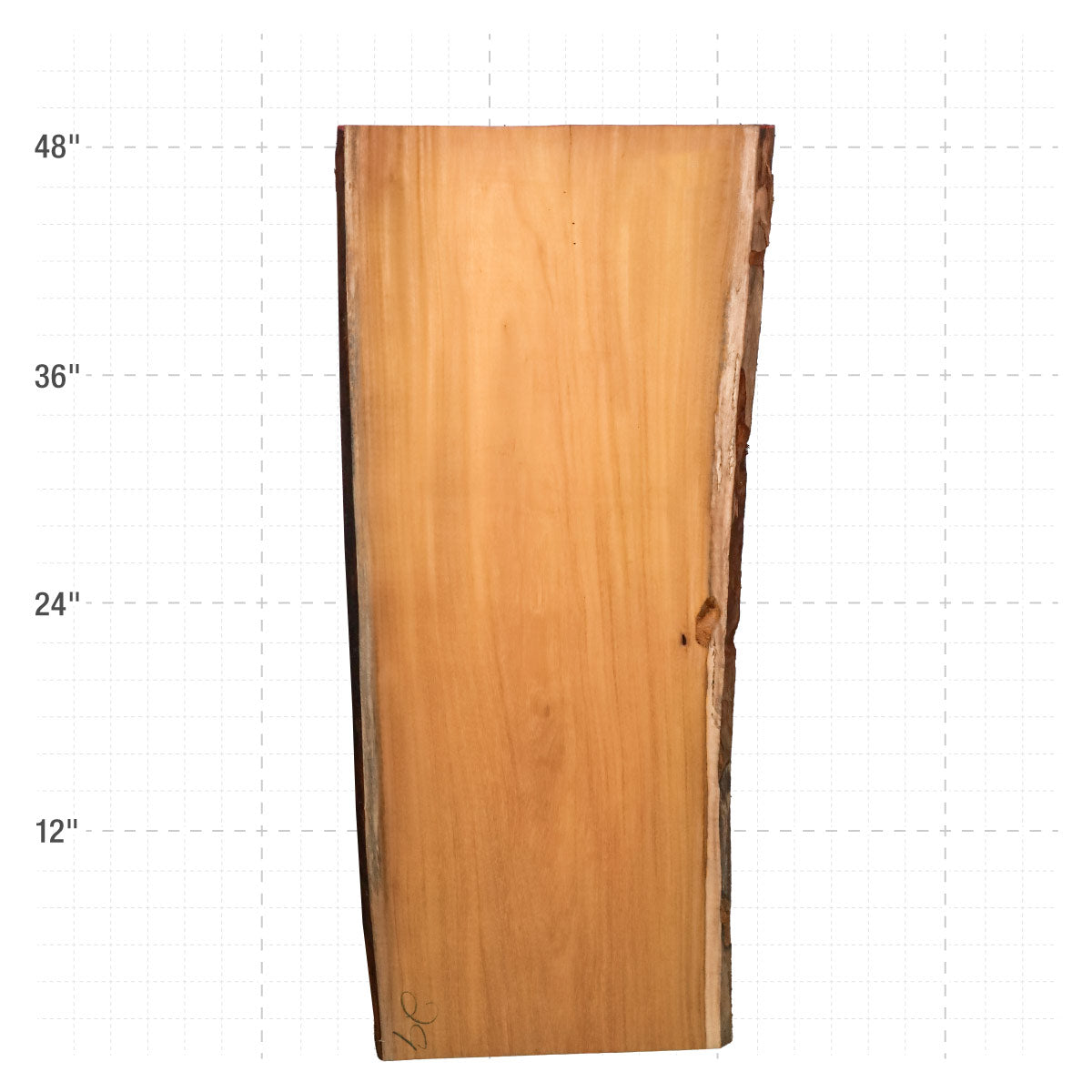 Osage Orange Live Edge Slabs - 48" x 19" x 1.25" - OO-29-A