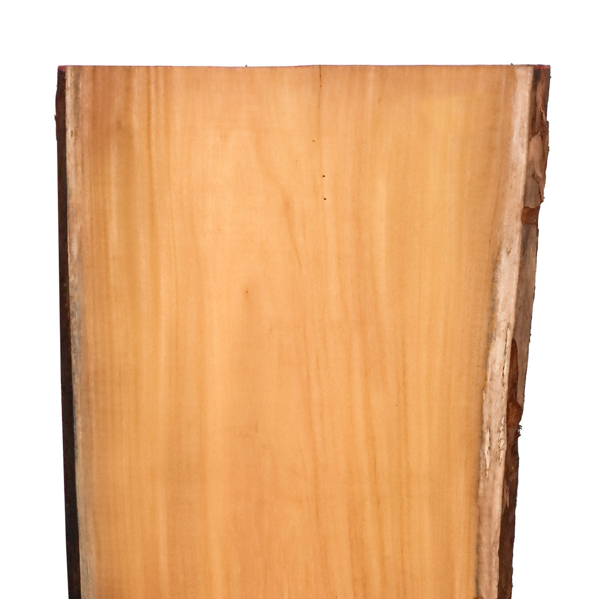 Osage Orange Live Edge Slabs - 48" x 19" x 1.25" - OO-29-A