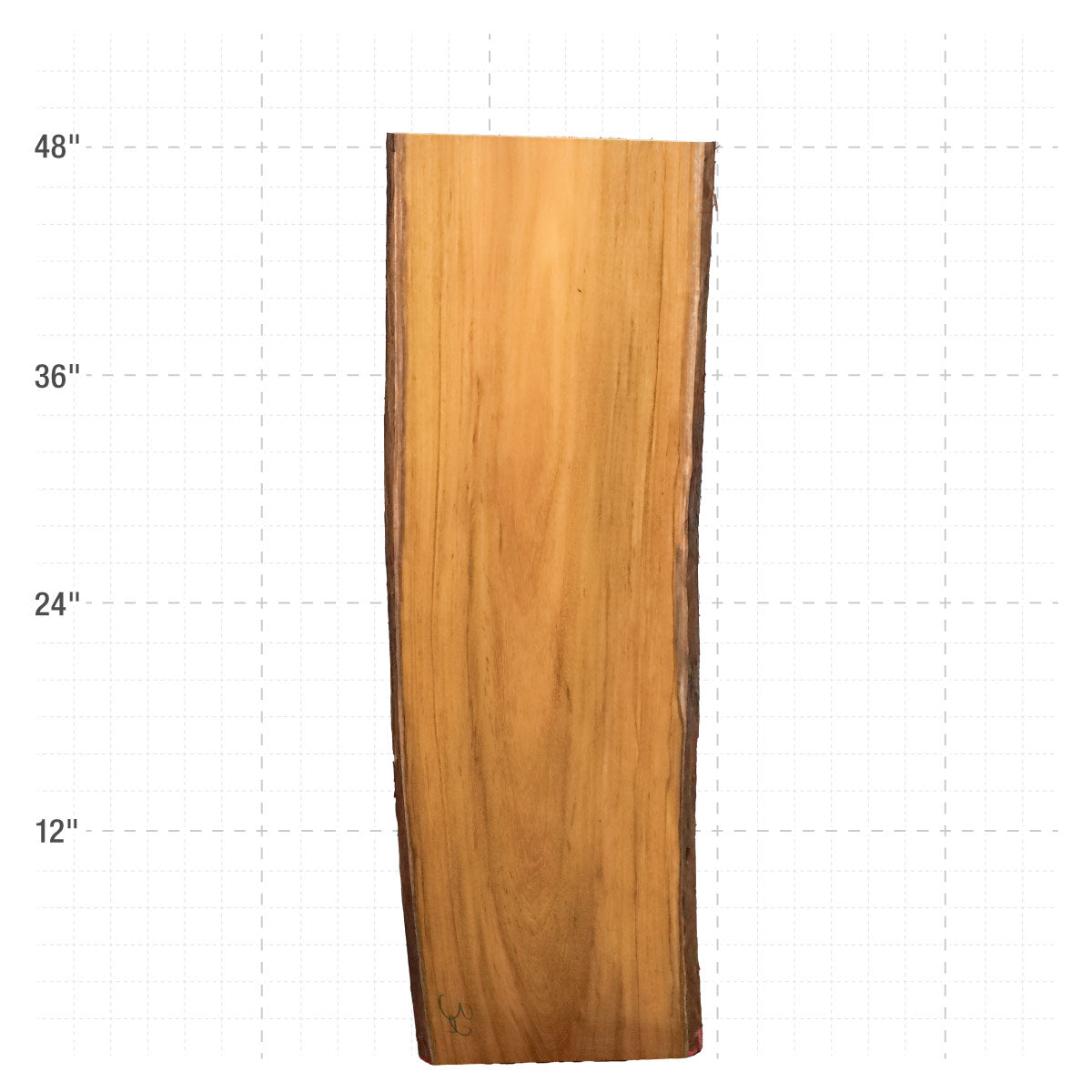 Osage Orange Live Edge Slabs - 49" x 15.5" x 1.25" - OO-32-A