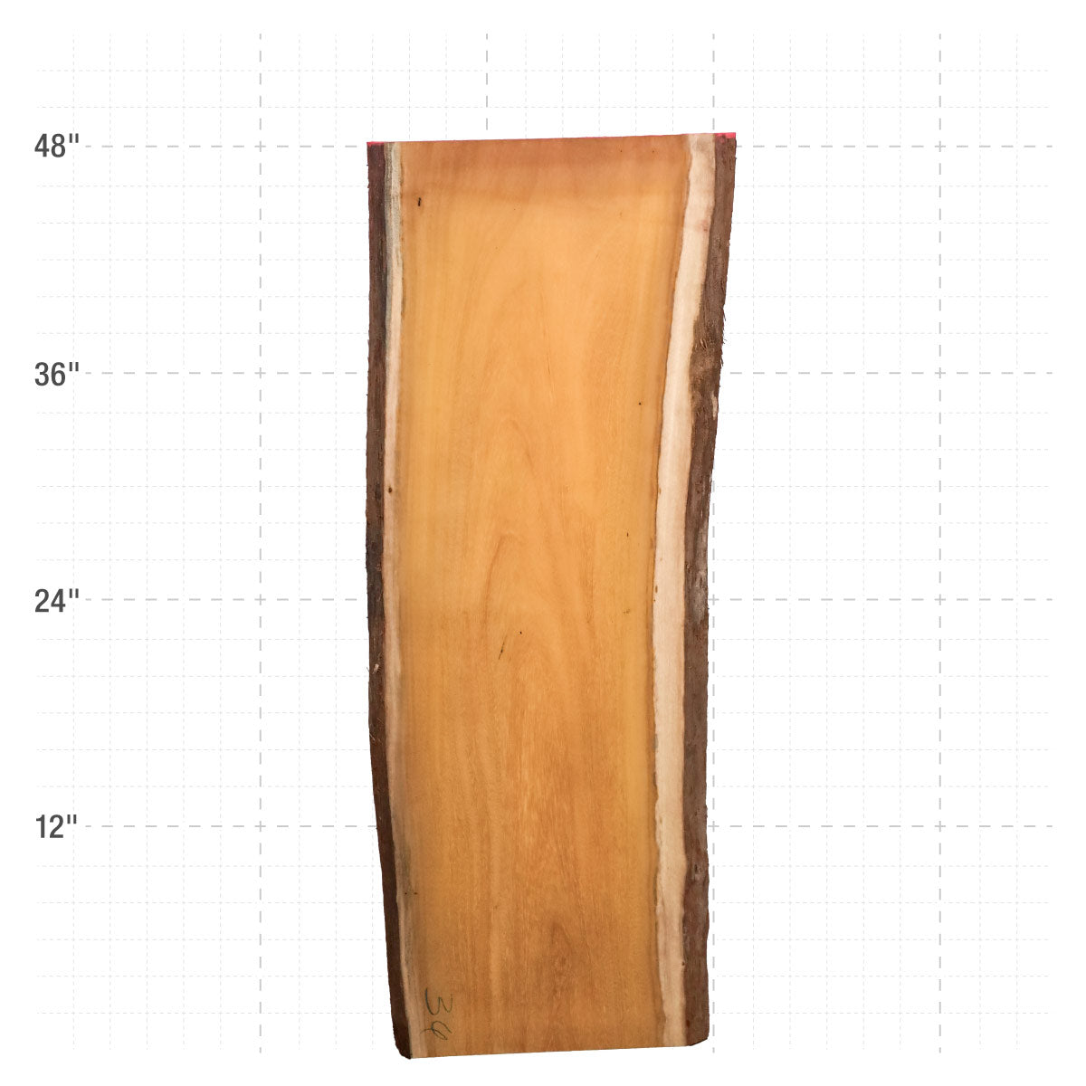 Osage Orange Live Edge Slabs - 48" x 17" x 1.25" - OO-36-A