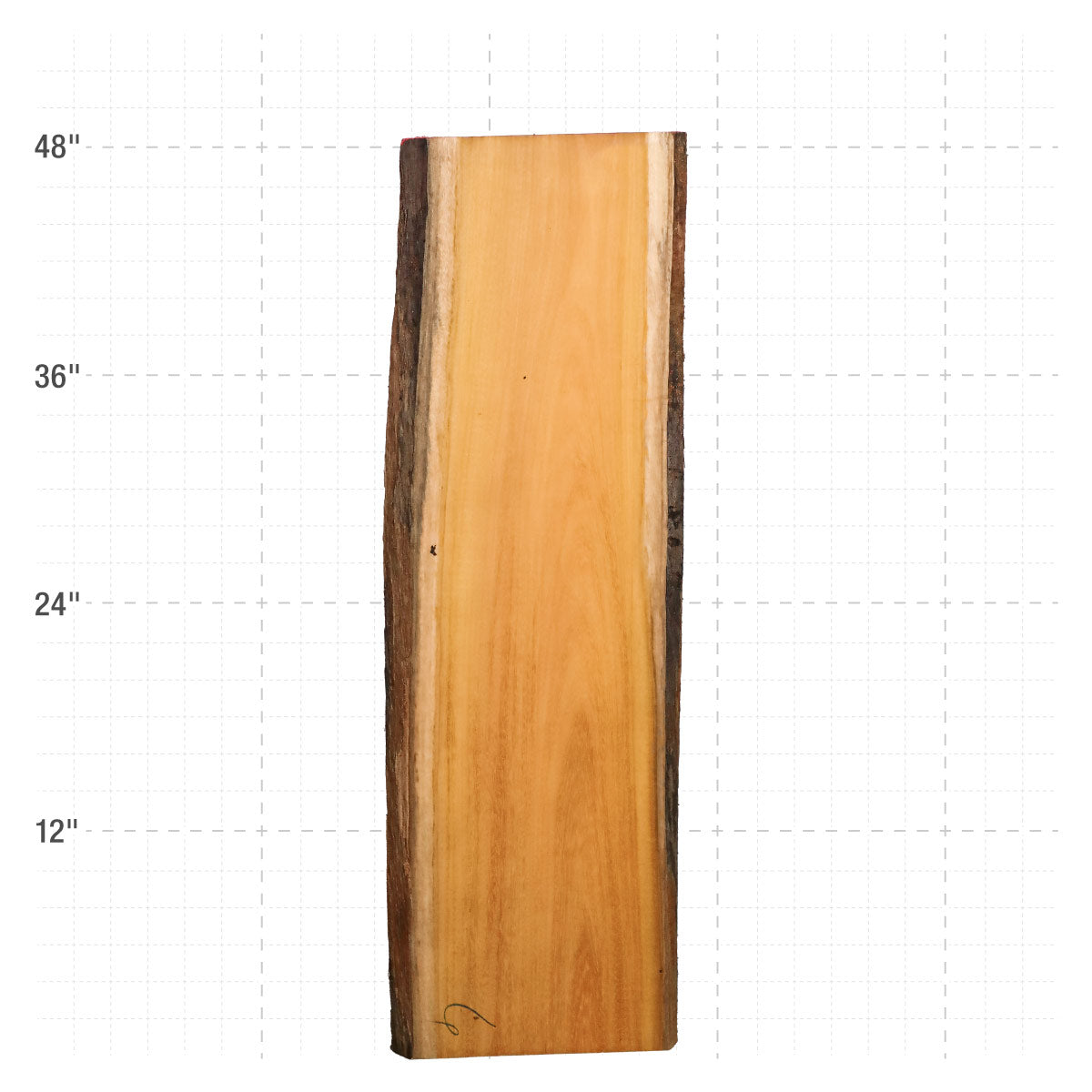 Osage Orange Live Edge Slabs - 48" x 15" x 1.25" - OO-6-A
