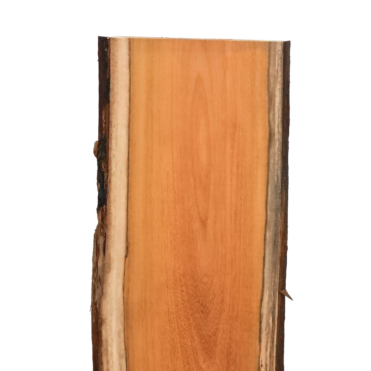 Osage Orange Live Edge Slabs - 49" x 13" x 1.25" - OO-9-A