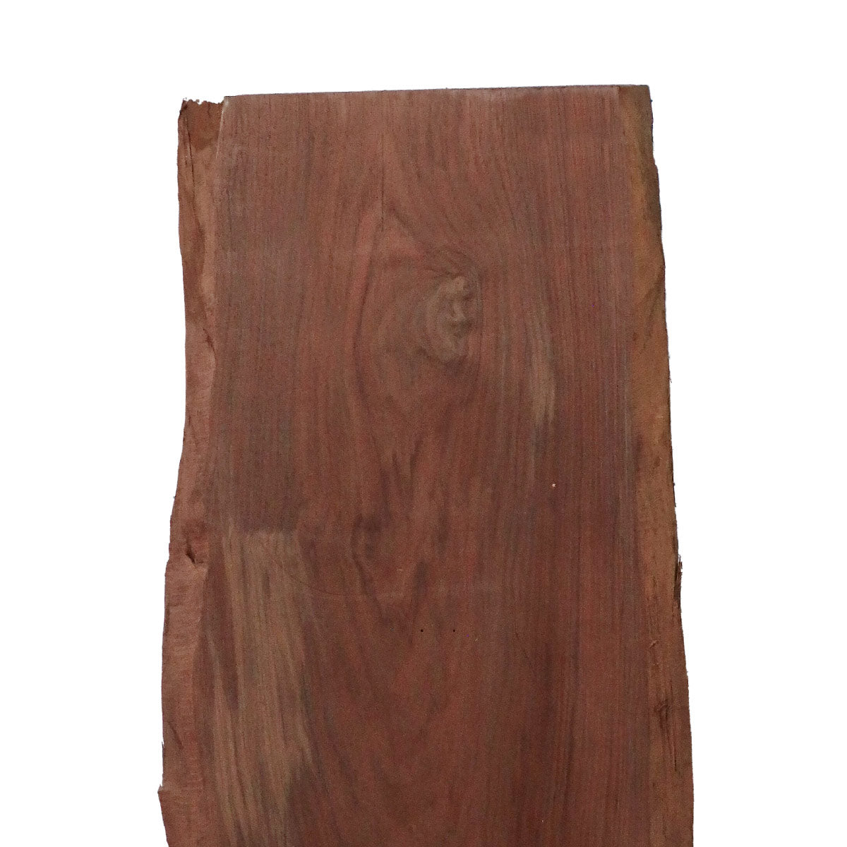 Peruvian Walnut Live Edge Slabs - 48" x 14.75" x 1.25" - PW-31-A