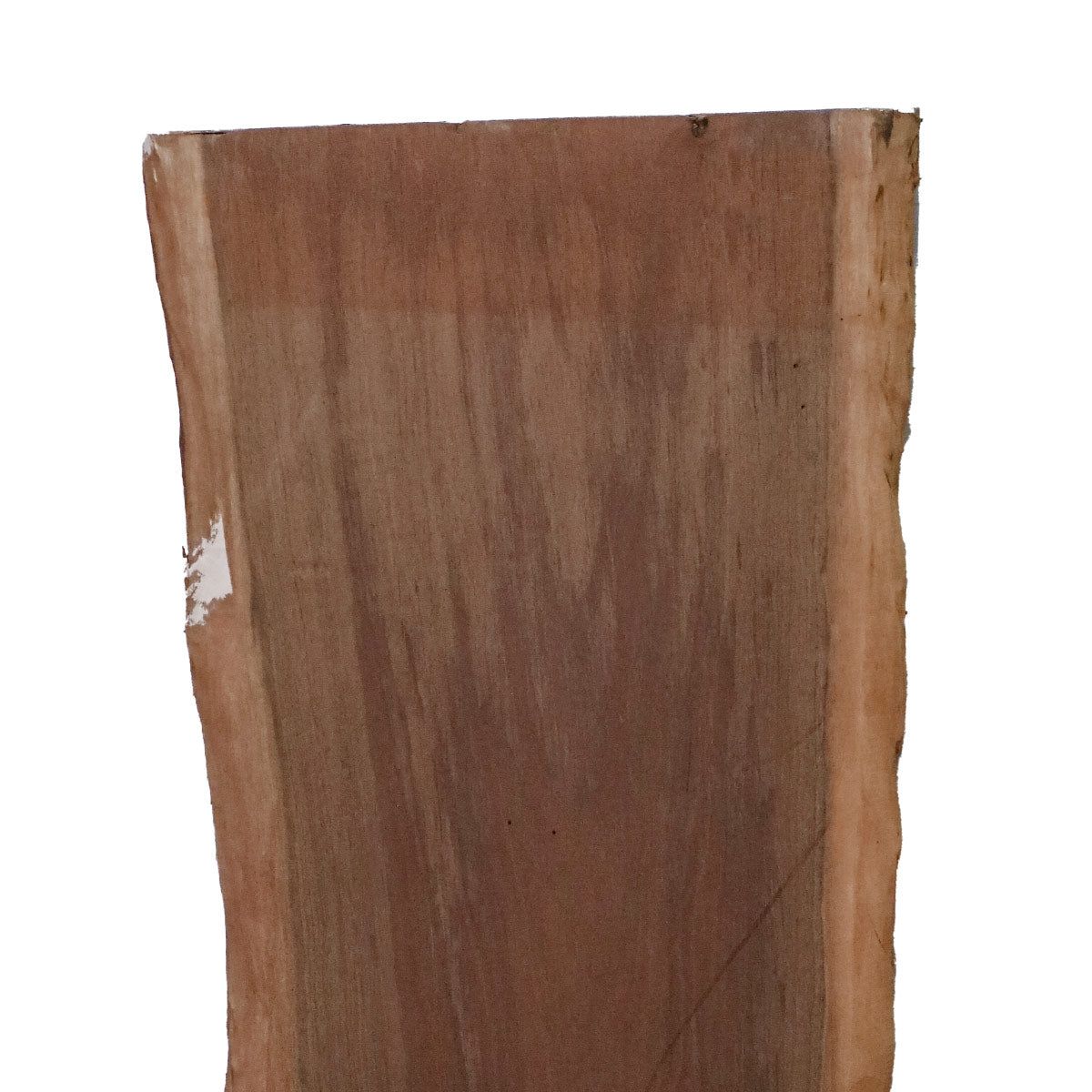 Peruvian Walnut Live Edge Slabs - 48" x 14.75" x 1.25" - PW-32-A