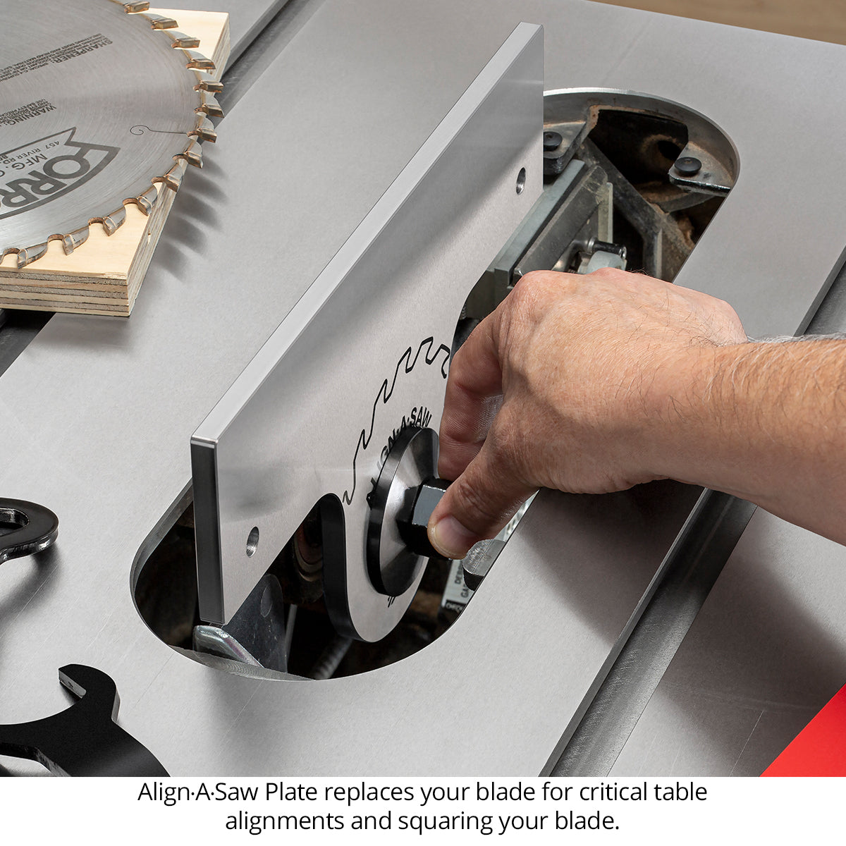 Align-A-Saw System
