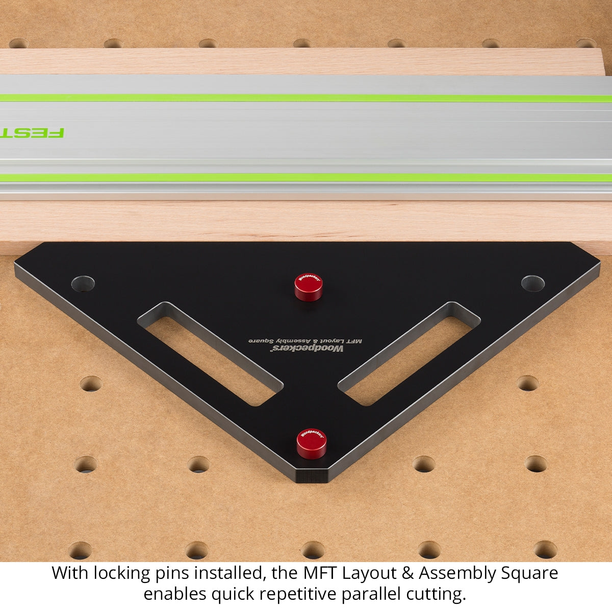 MFT Positioning Dogs