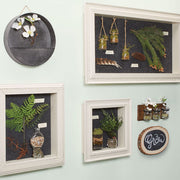 Woodsmith Shadow Boxes Standard Plan & Premium Shop Drawings